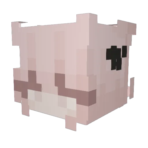 nyxlunari Minecraft avatar head, 3D render