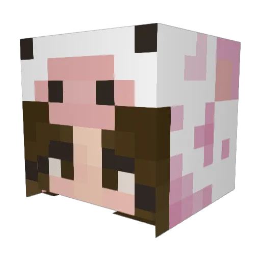 nyxrealm Minecraft avatar head, 3D render