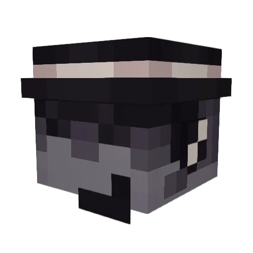 nyxxicon_ Minecraft avatar head, 3D render