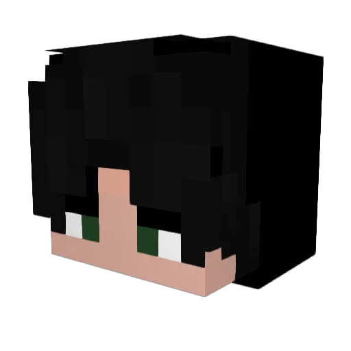 nyyf__ Minecraft avatar head, 3D render