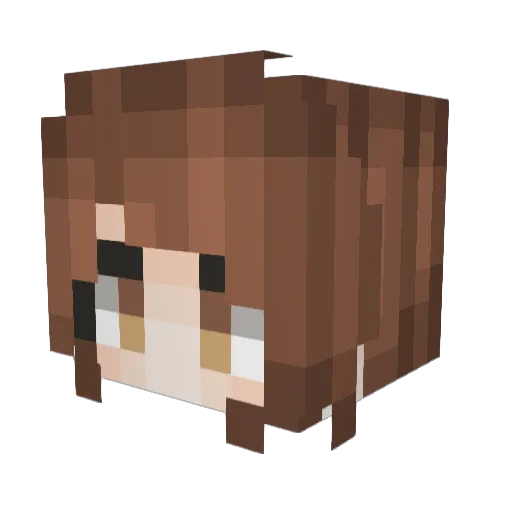 nyyh Minecraft avatar head, 3D render