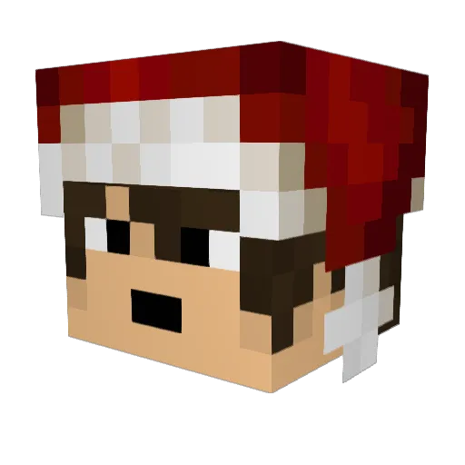nzan Minecraft avatar head, 3D render