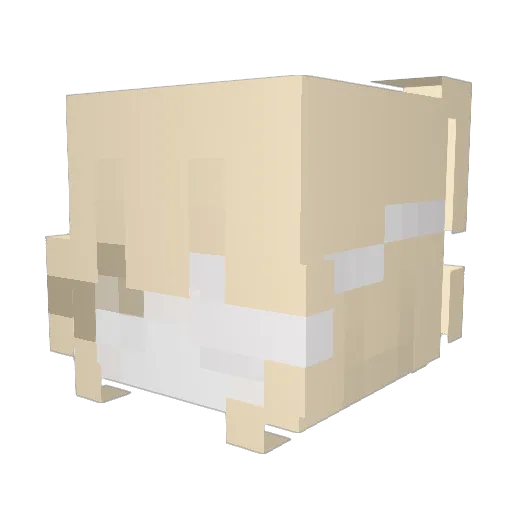 nzcta Minecraft avatar head, 3D render