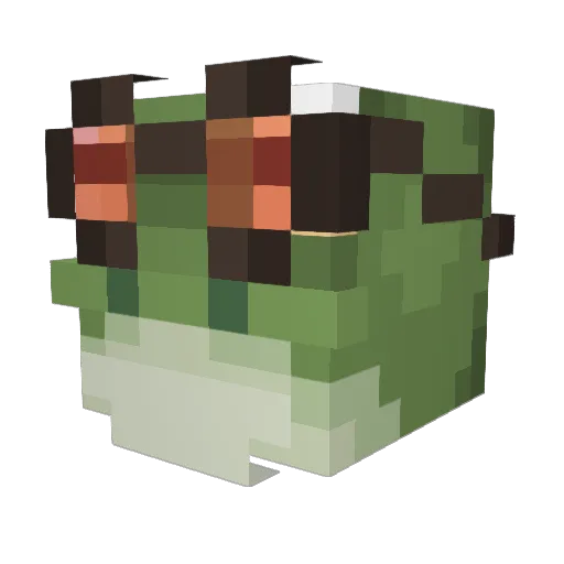 nzeu Minecraft avatar head, 3D render