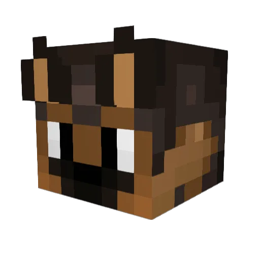 nzika Minecraft avatar head, 3D render