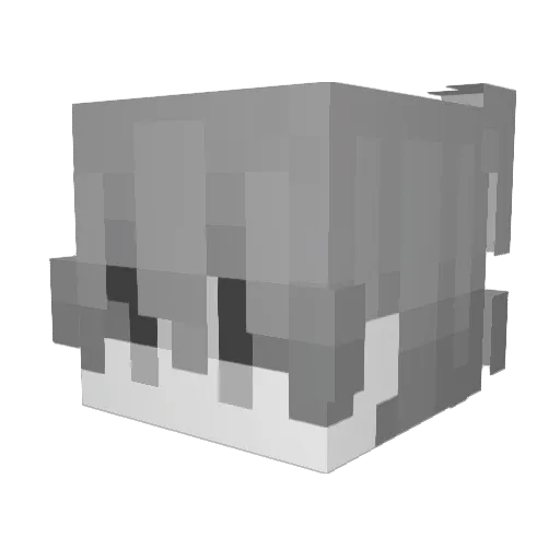 nzin123 Minecraft avatar head, 3D render