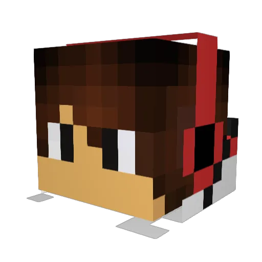 nzm2002 Minecraft avatar head, 3D render