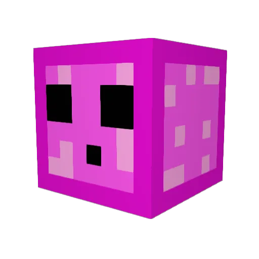 nzok Minecraft avatar head, 3D render