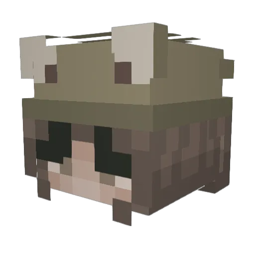 o0Caidence0o Minecraft avatar head, 3D render