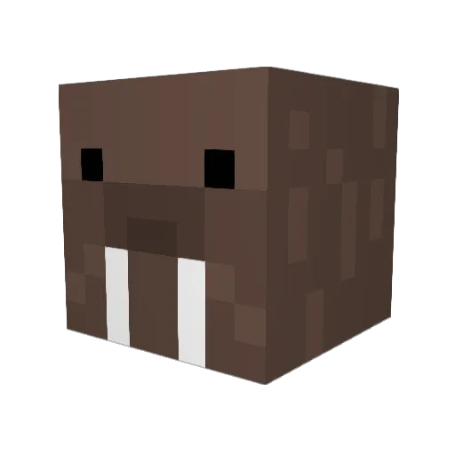 o0Julek0o Minecraft avatar head, 3D render