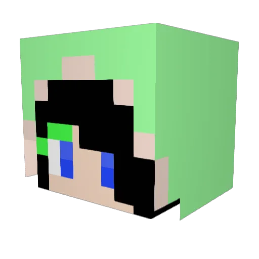 o0LilRig0o Minecraft avatar head, 3D render