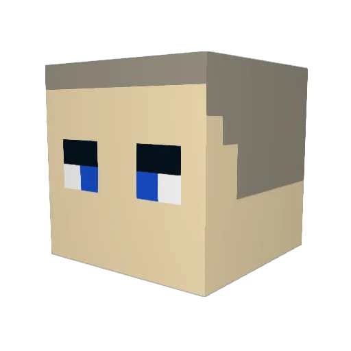 o0Nautilus0o Minecraft avatar head, 3D render