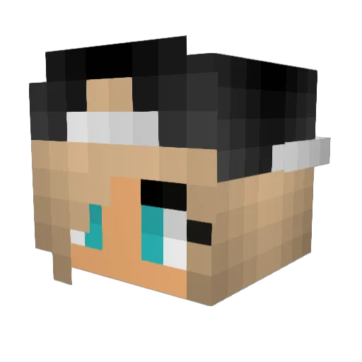 o0Potato0o Minecraft avatar head, 3D render