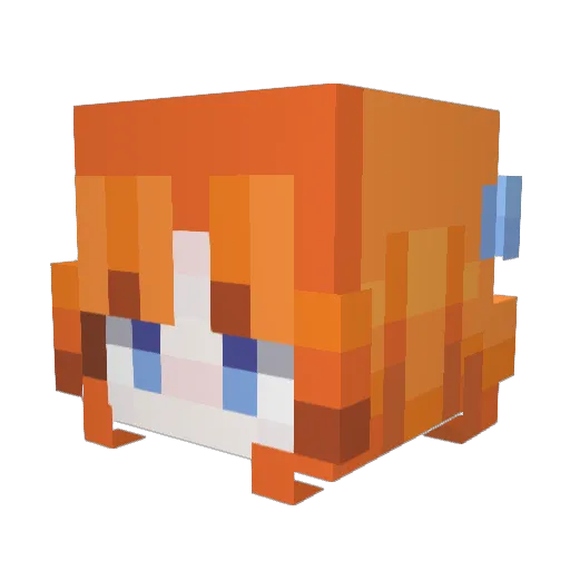 o0Rain0o9666 Minecraft avatar head, 3D render
