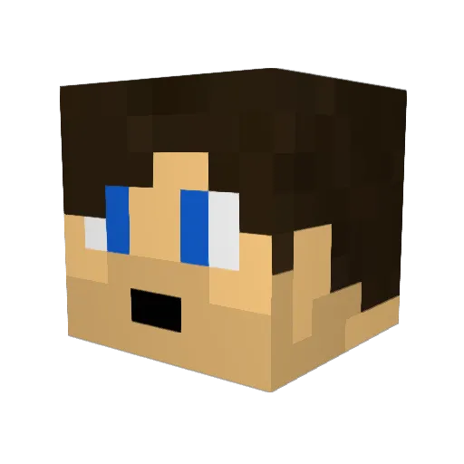 o0__TOM__0o Minecraft avatar head, 3D render