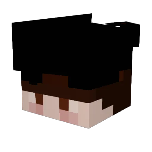 o0no0o Minecraft avatar head, 3D render