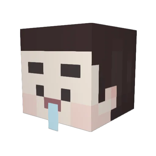 o0o_en Minecraft avatar head, 3D render