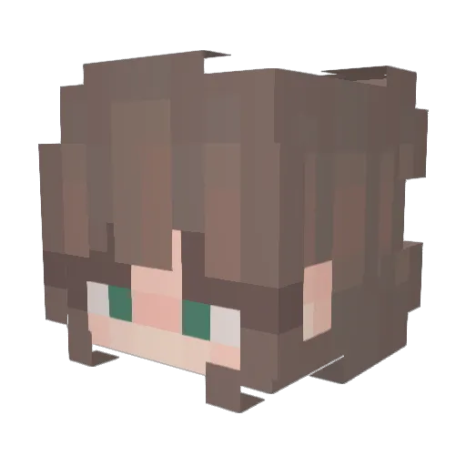 o0sorrel0o Minecraft avatar head, 3D render