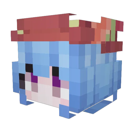 o0v0 Minecraft avatar head, 3D render