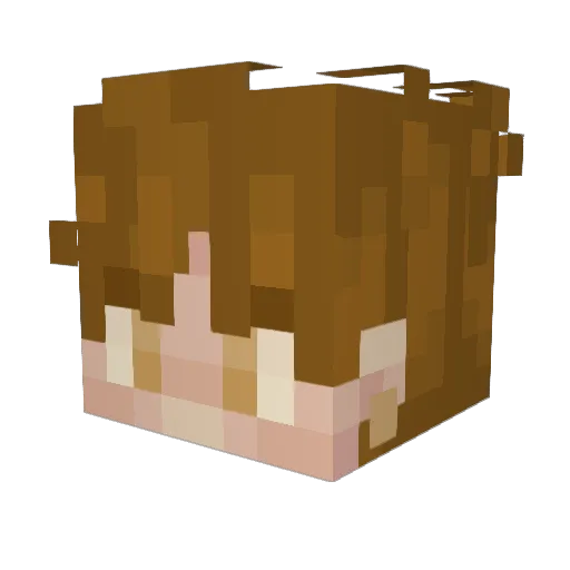 o1iver21 Minecraft avatar head, 3D render
