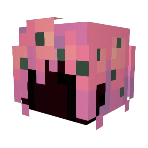o7Cohaman Minecraft avatar head, 3D render