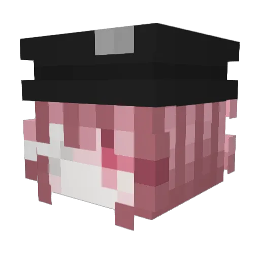 o7zx Minecraft avatar head, 3D render
