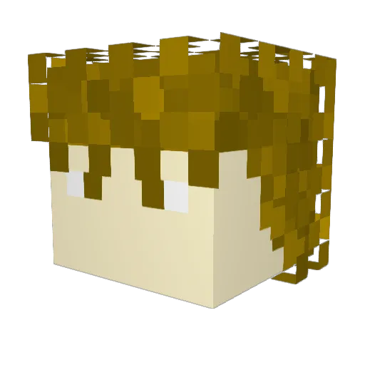 o9cat Minecraft avatar head, 3D render