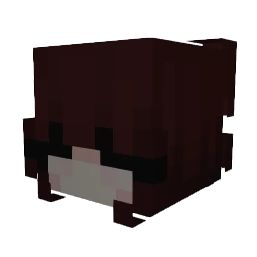 o9n Minecraft avatar head, 3D render