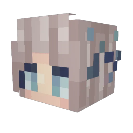 oACORNo Minecraft avatar head, 3D render