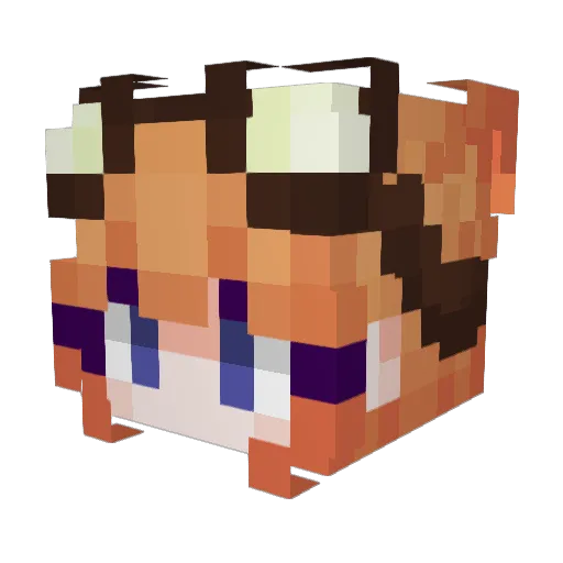 oAlley Minecraft avatar head, 3D render