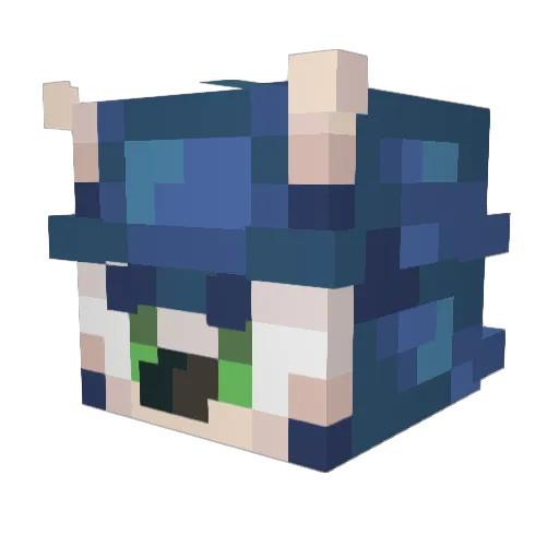 oAnii Minecraft avatar head, 3D render