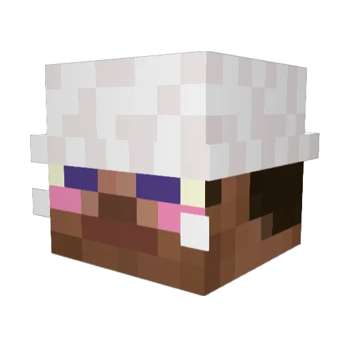 oAnnz Minecraft avatar head, 3D render