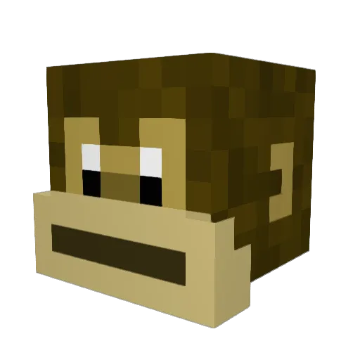 oBlynk Minecraft avatar head, 3D render