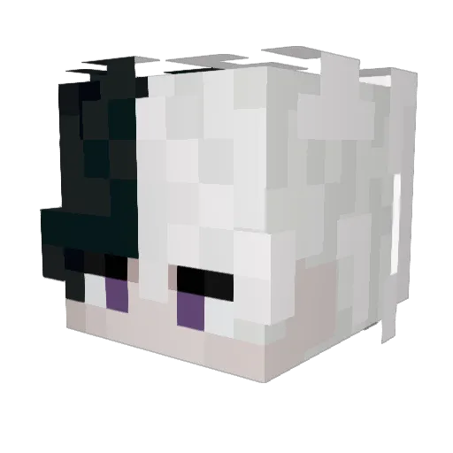 oBoutnn Minecraft avatar head, 3D render
