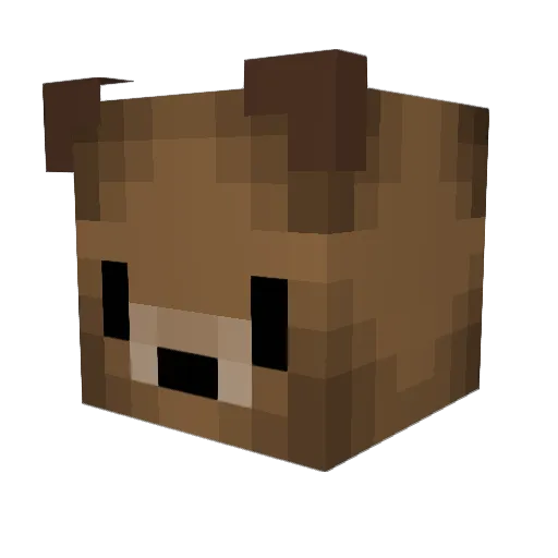 oCanadeh Minecraft avatar head, 3D render
