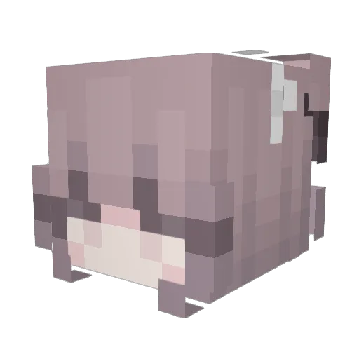oChippy Minecraft avatar head, 3D render