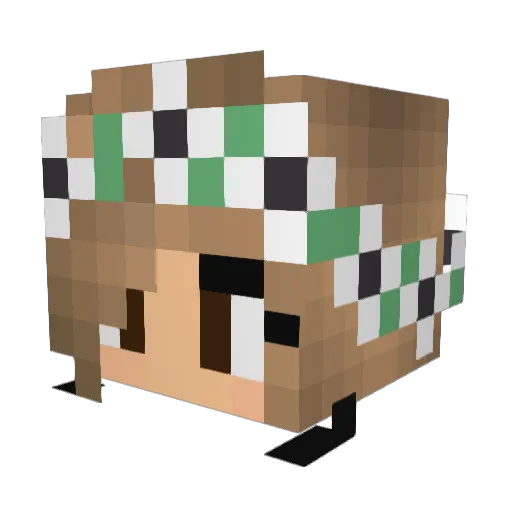 oCreatinqqoxD Minecraft avatar head, 3D render