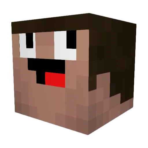 oDuckingSick Minecraft avatar head, 3D render