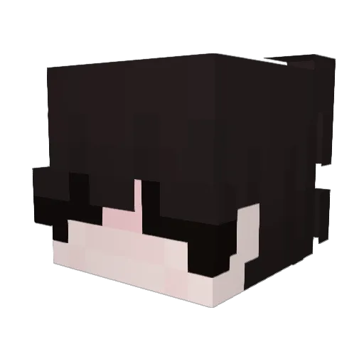 oEndxr Minecraft avatar head, 3D render