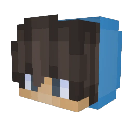oEverett Minecraft avatar head, 3D render