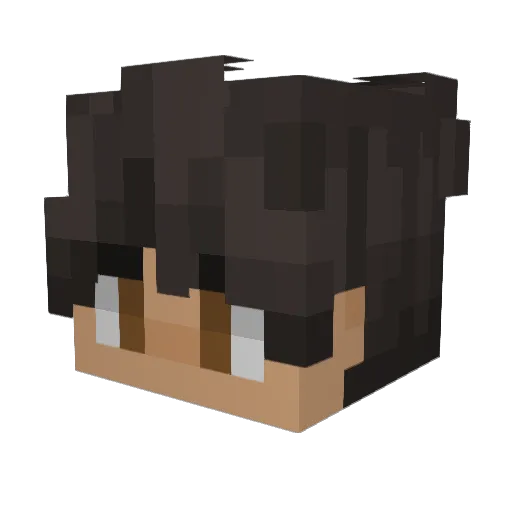 oFastz_ Minecraft avatar head, 3D render