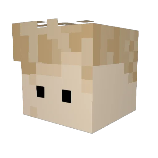 oFedic Minecraft avatar head, 3D render