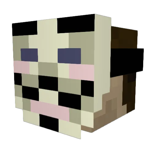 oGainz Minecraft avatar head, 3D render