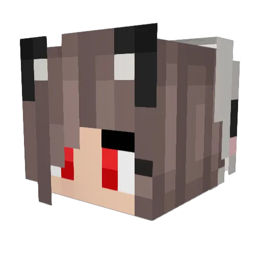 oGalaxy Minecraft avatar head, 3D render