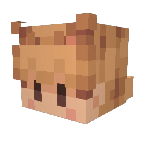 oGarfield Minecraft avatar head, 3D render
