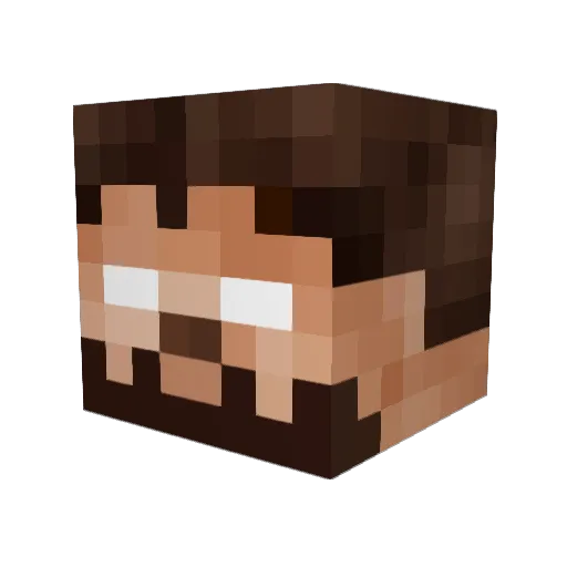 oIBuBBaIo Minecraft avatar head, 3D render