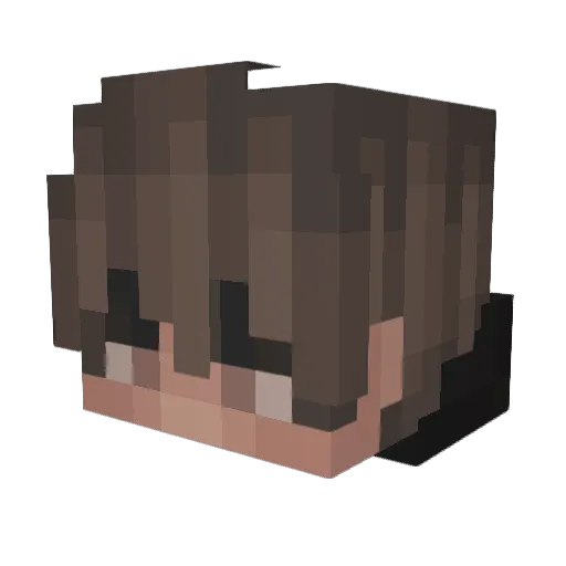 oJayden Minecraft avatar head, 3D render