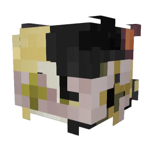 oJonii Minecraft avatar head, 3D render