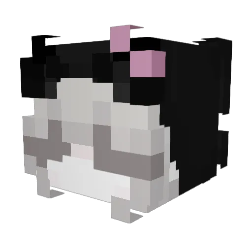 oKaraKitten Minecraft avatar head, 3D render