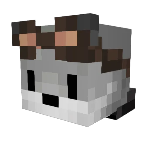 oLanGGo Minecraft avatar head, 3D render